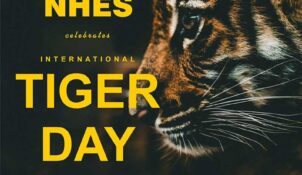 tigerday25-11
